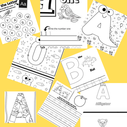 Alphabet & Number  Activity Pages