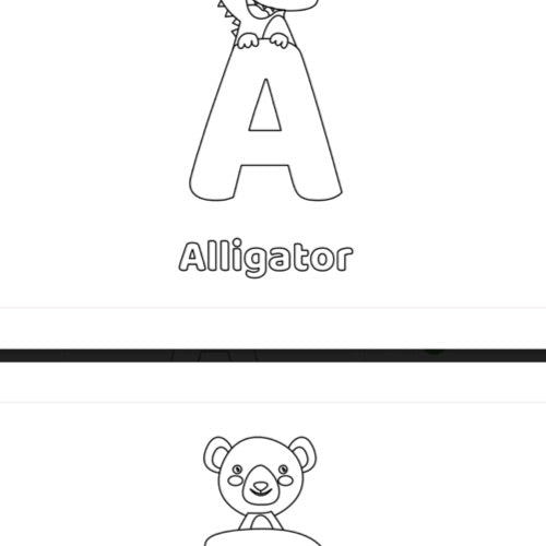 Alphabet & Number  Activity Pages