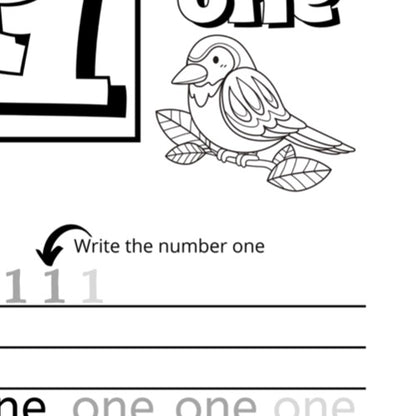 Alphabet & Number  Activity Pages